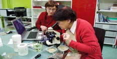 odgrzybianie badanie laboratoryjne